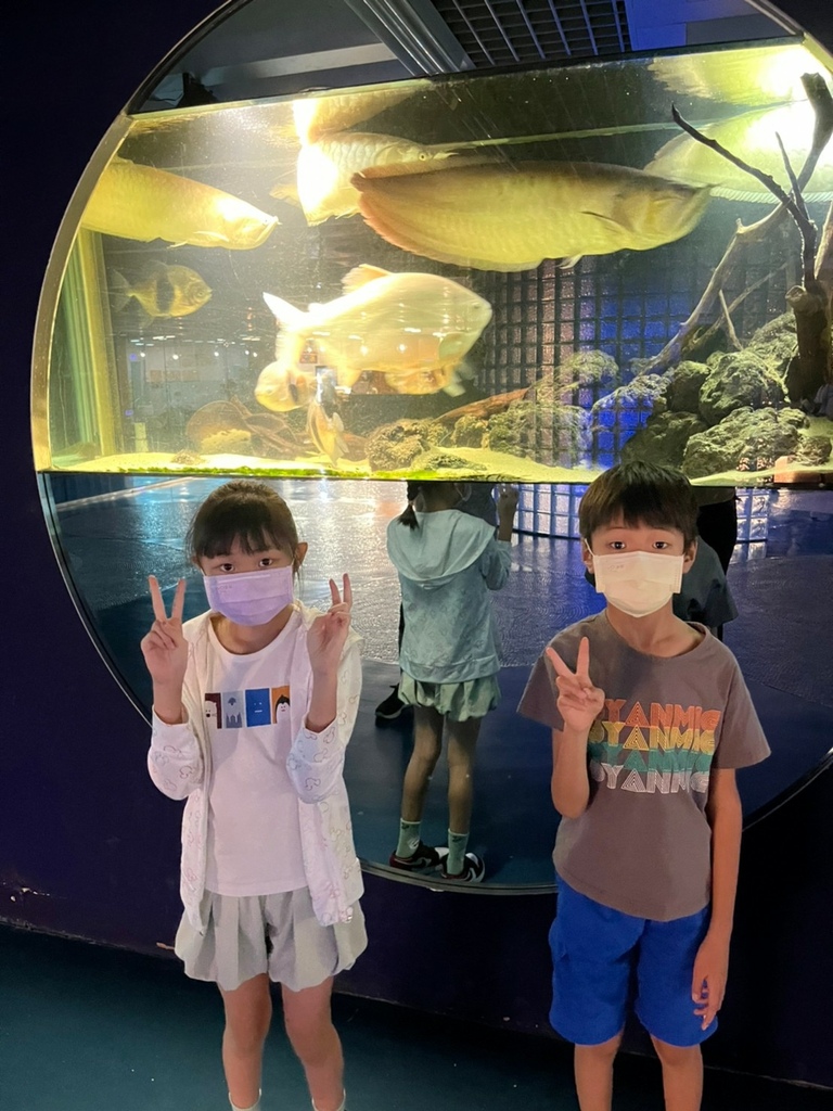 LINE_ALBUM_20220702 農科水族展示廳.圳寮人工濕地_220716_001.jpg