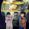 LINE_ALBUM_20220702 農科水族展示廳.圳寮人工濕地_220716_001.jpg