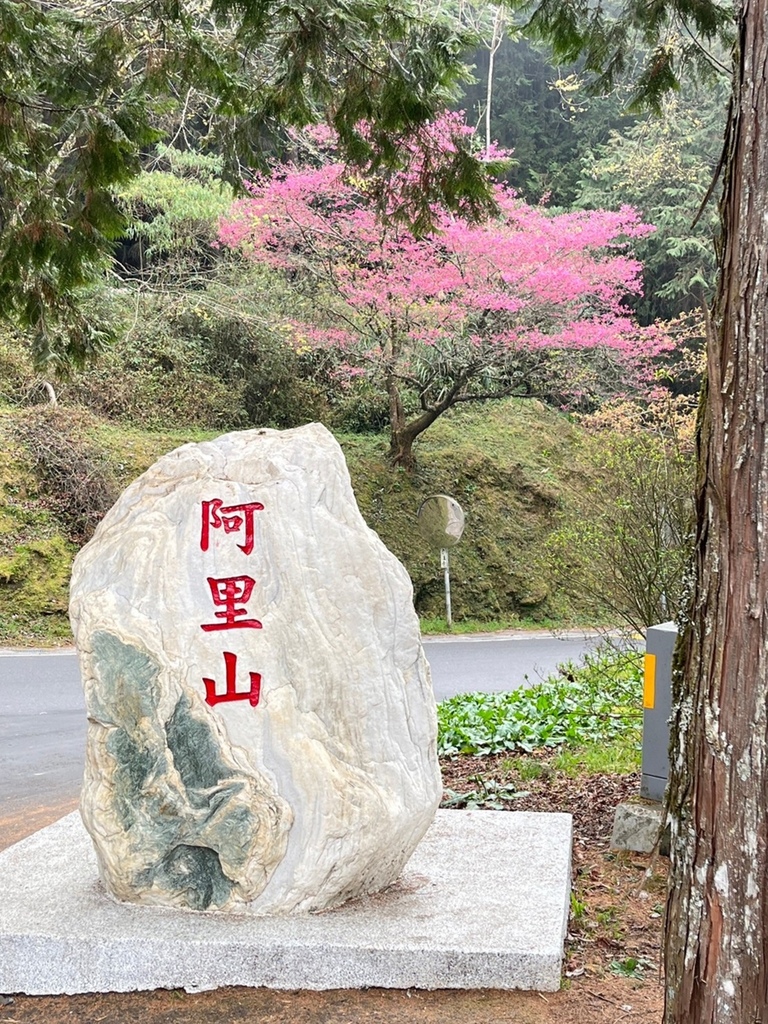 2023317 阿里山．沼平車站_230401_00.jpg