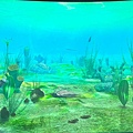 LINE_ALBUM_2023825 國立海洋生物博物館_230827_004.jpg