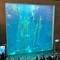 LINE_ALBUM_2023825 國立海洋生物博物館_230827_027.jpg