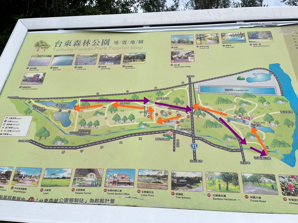 20231125 台東森林公園_231230_6.jpg