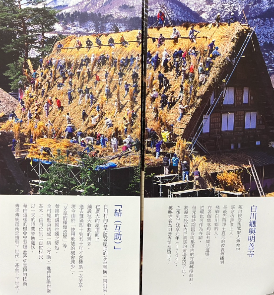 【日本】蛭野高原服務區．白川鄉合掌村．明善寺鄕土館