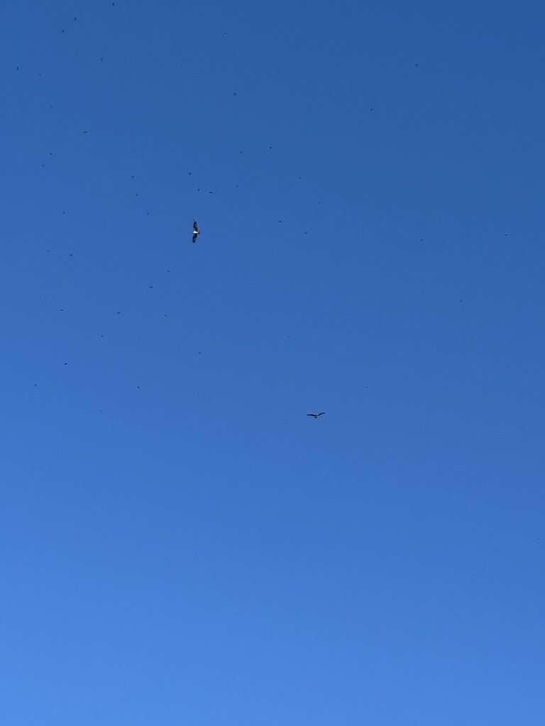 【台東】水跳舞的歌聲.米國學校-關山鎮農會休閒旅遊中心.關山 【台東】水跳舞的歌聲.米國學校-關山鎮農會休閒旅遊中心.關山