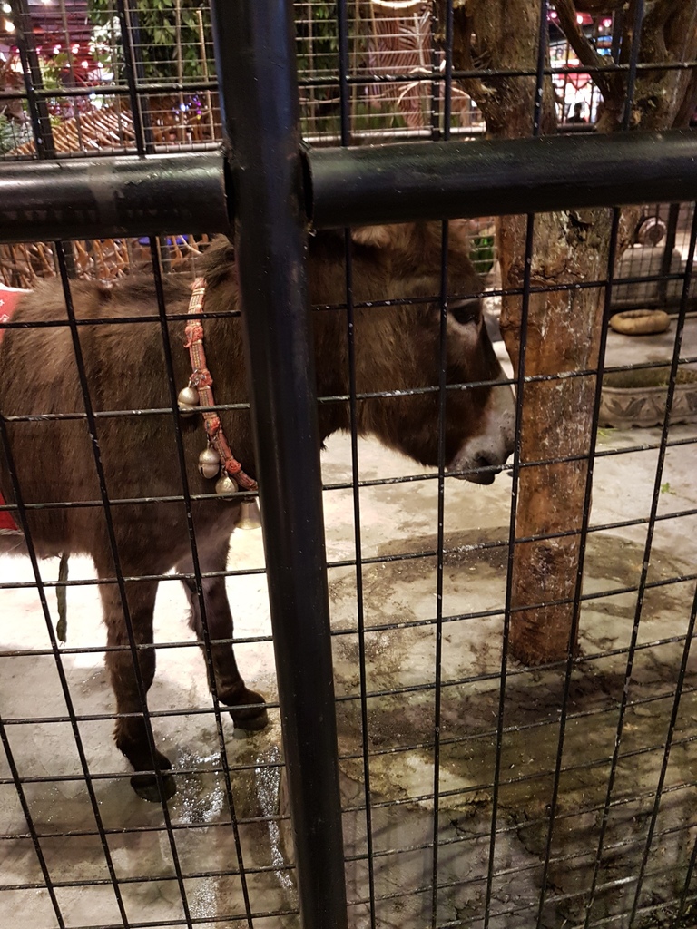 20161230_163543.jpg 20161230_163543.jpg