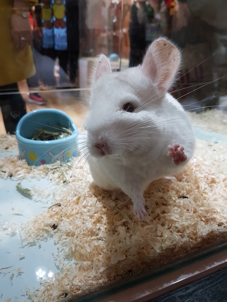 20161230_163710.jpg 20161230_163710.jpg