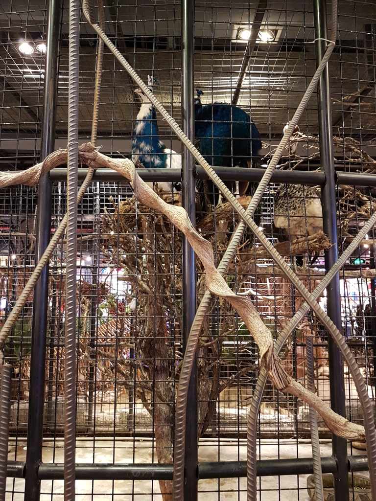 20161230_163525.jpg 20161230_163525.jpg