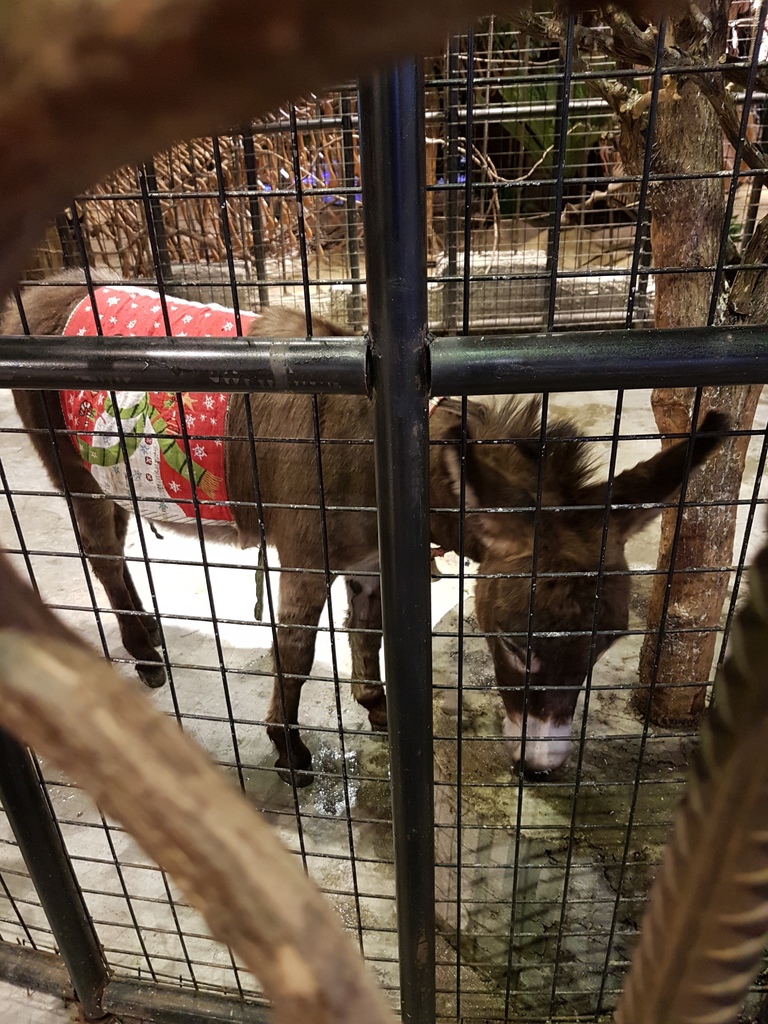 20161230_163532.jpg 20161230_163532.jpg