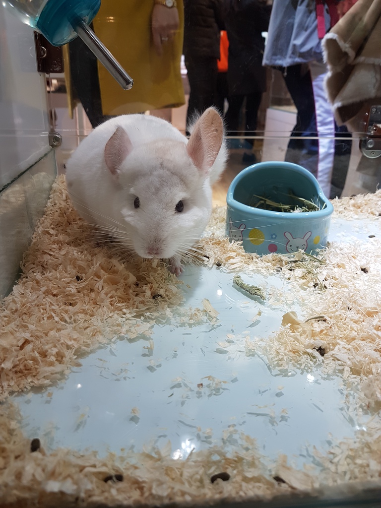 20161230_163724.jpg 20161230_163724.jpg