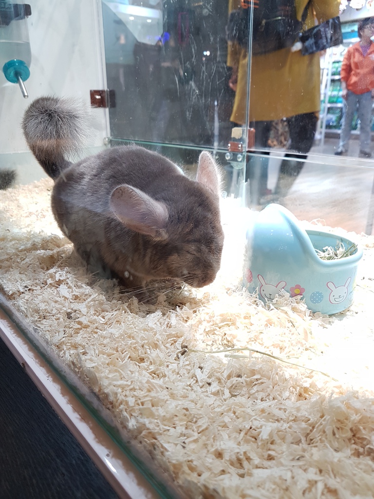 20161230_163727.jpg 20161230_163727.jpg