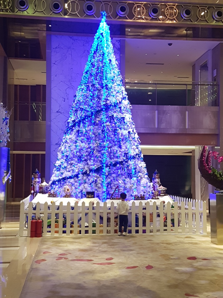 20161231_195932.jpg 20161231_195932.jpg