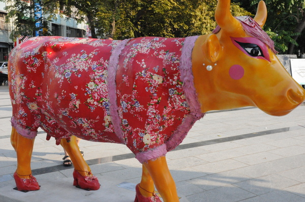 DSC_0158.JPG DSC_0158.JPG