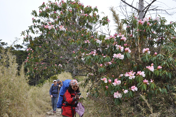 DSC_0158.JPG DSC_0158.JPG