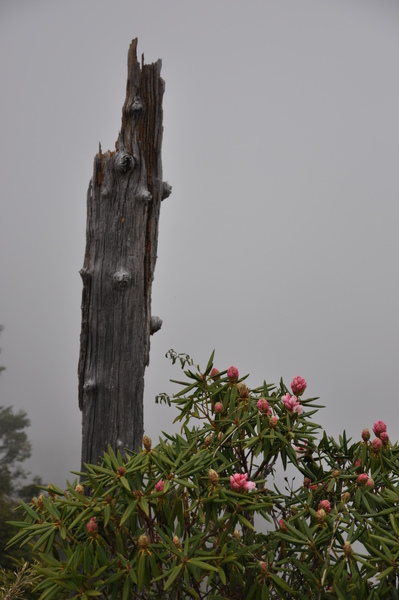 DSC_0191.JPG DSC_0191.JPG
