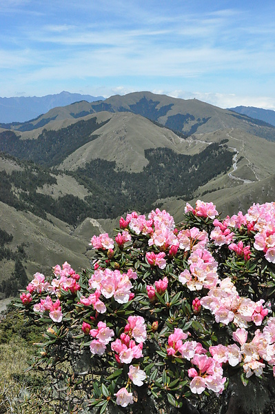 DSC_7264.JPG DSC_7264.JPG
