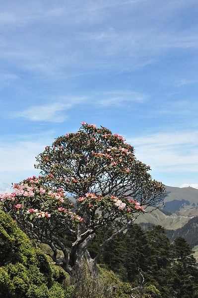 DSC_7288.JPG DSC_7288.JPG