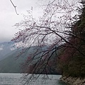 小瑞士湖畔 (1).JPG