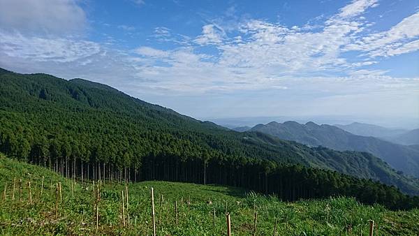 茅圃林道 (15).JPG