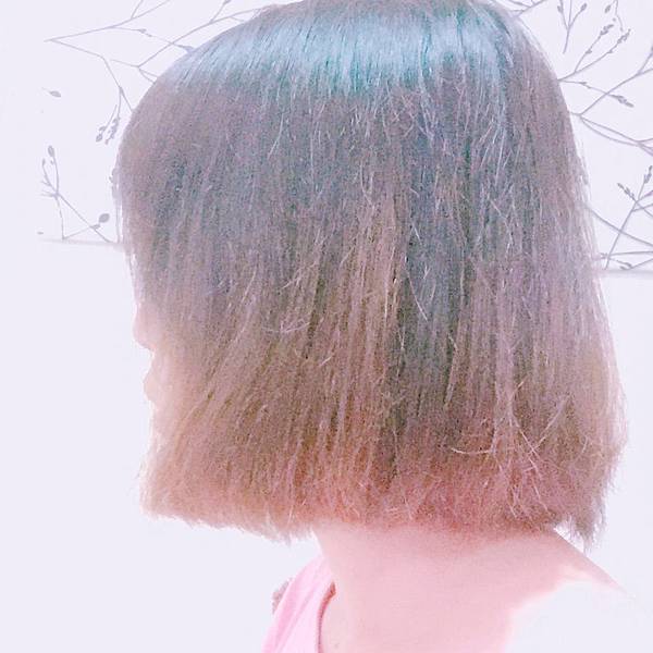 IMG_1639.JPG IMG_1639.JPG