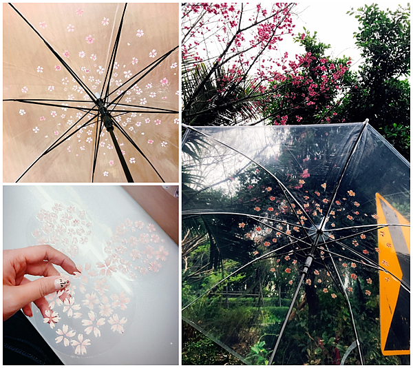 雨傘.png 雨傘.png