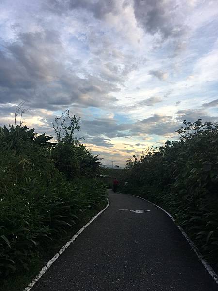 IMG_0484.JPG IMG_0484.JPG