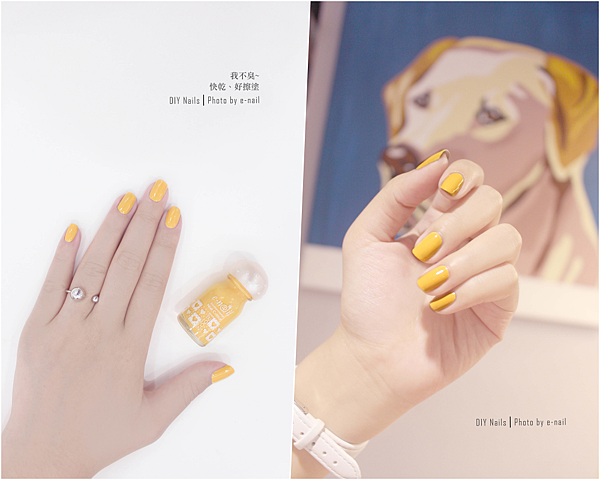 芒果單1.png 芒果單1.png