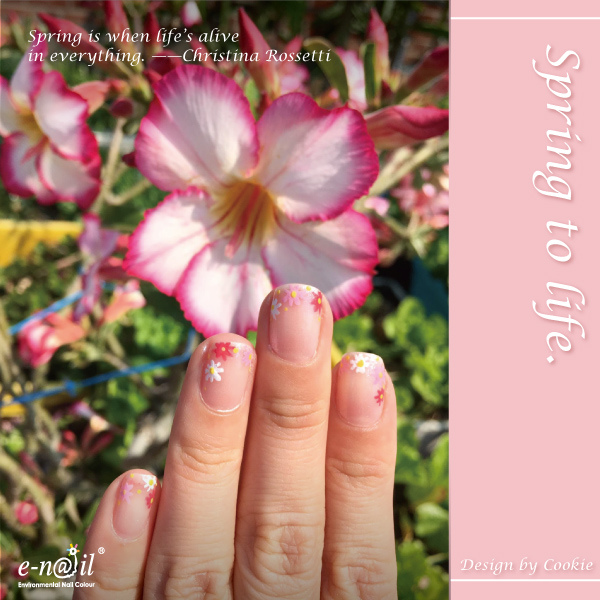 cookie (3).jpg cookie (3).jpg