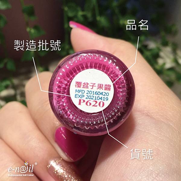 水指甲類別3.jpg 水指甲類別3.jpg