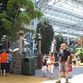 IMG_0160.JPG
