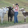 IMG_0319.JPG