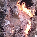 DSC_0615.jpg