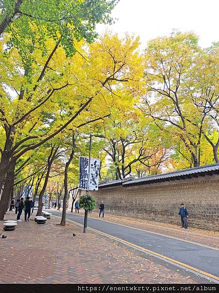 【韓國旅遊】德壽宮惇德殿百年來首次開放參觀丨身處韓國傳統宮殿