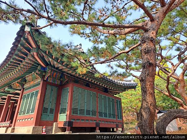 【韓國旅遊】德壽宮惇德殿百年來首次開放參觀丨身處韓國傳統宮殿