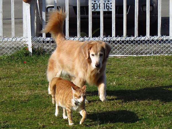 IMG_8219 IMG_8219