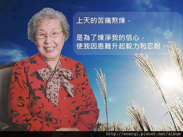 姥姥語錄20160317.jpg 姥姥語錄20160317.jpg