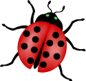 lady-bug-red-th.gif