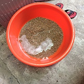 IMG_0134.JPG IMG_0134.JPG