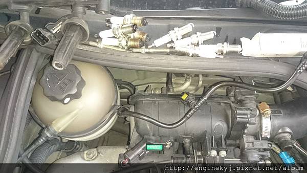 DSC_1009.jpg DSC_1009.jpg