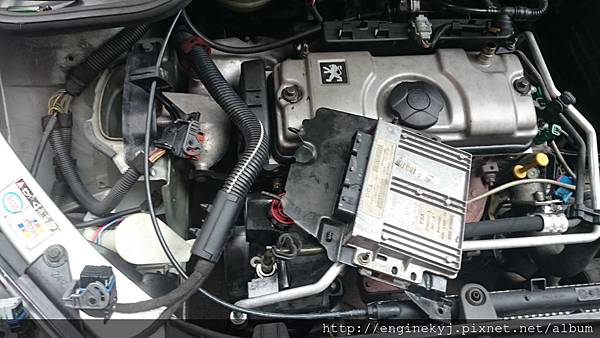 DSC_1019.jpg DSC_1019.jpg