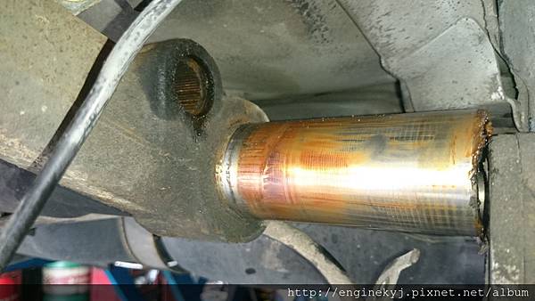 DSC_1504.jpg DSC_1504.jpg