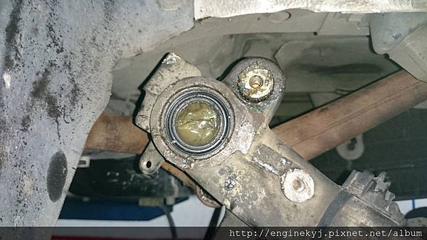 DSC_1509.jpg DSC_1509.jpg