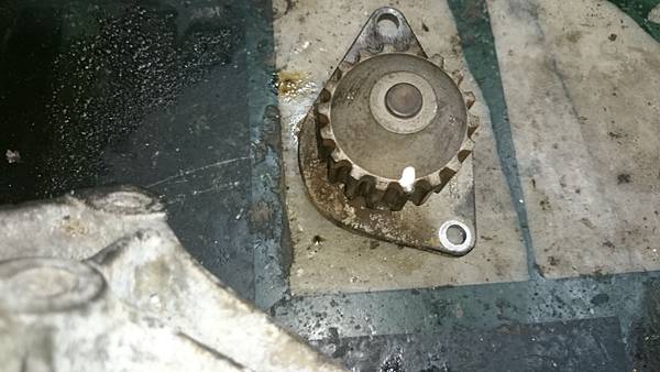 DSC_2118.jpg DSC_2118.jpg