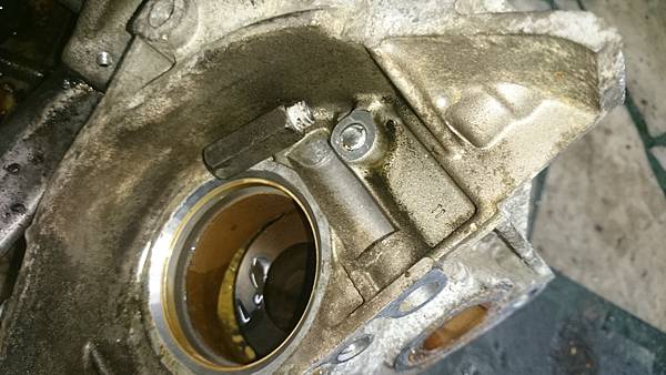 DSC_2117.jpg DSC_2117.jpg