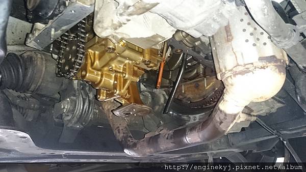 DSC_2599.JPG DSC_2599.JPG