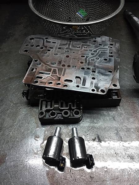 S__17539086.jpg S__17539086.jpg