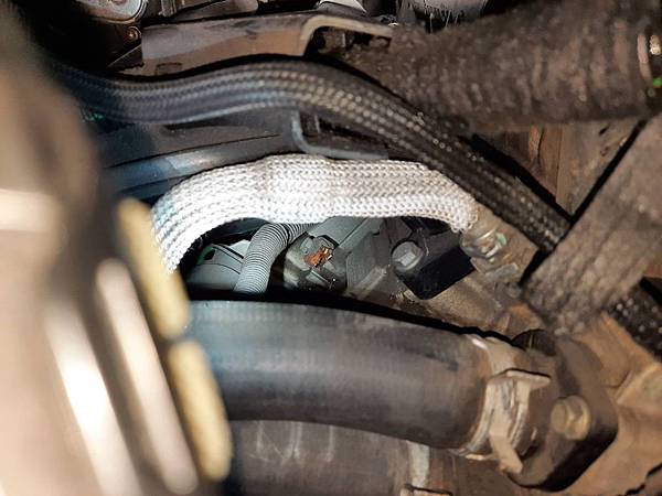 319174.jpg 319174.jpg