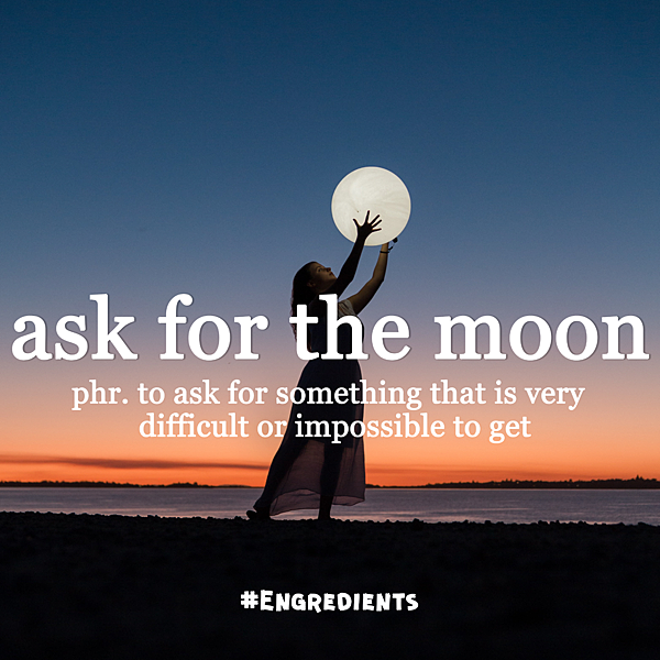 ask for the moon.png