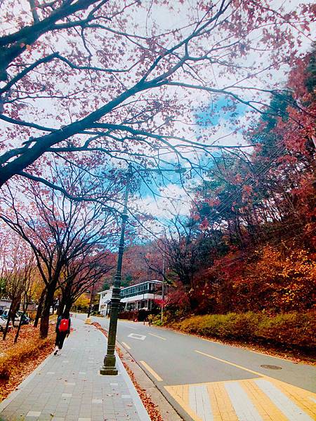 ［韓國大邱 遊記］桐華寺 八公山 幸運 鳳凰蛋 安地郎 烤腸