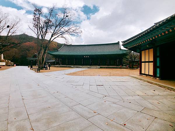 ［韓國大邱 遊記］桐華寺 八公山 幸運 鳳凰蛋 安地郎 烤腸