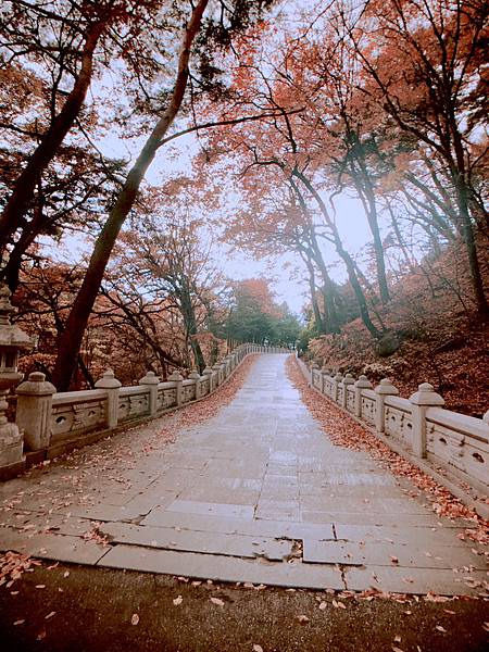 ［韓國大邱 遊記］桐華寺 八公山 幸運 鳳凰蛋 安地郎 烤腸